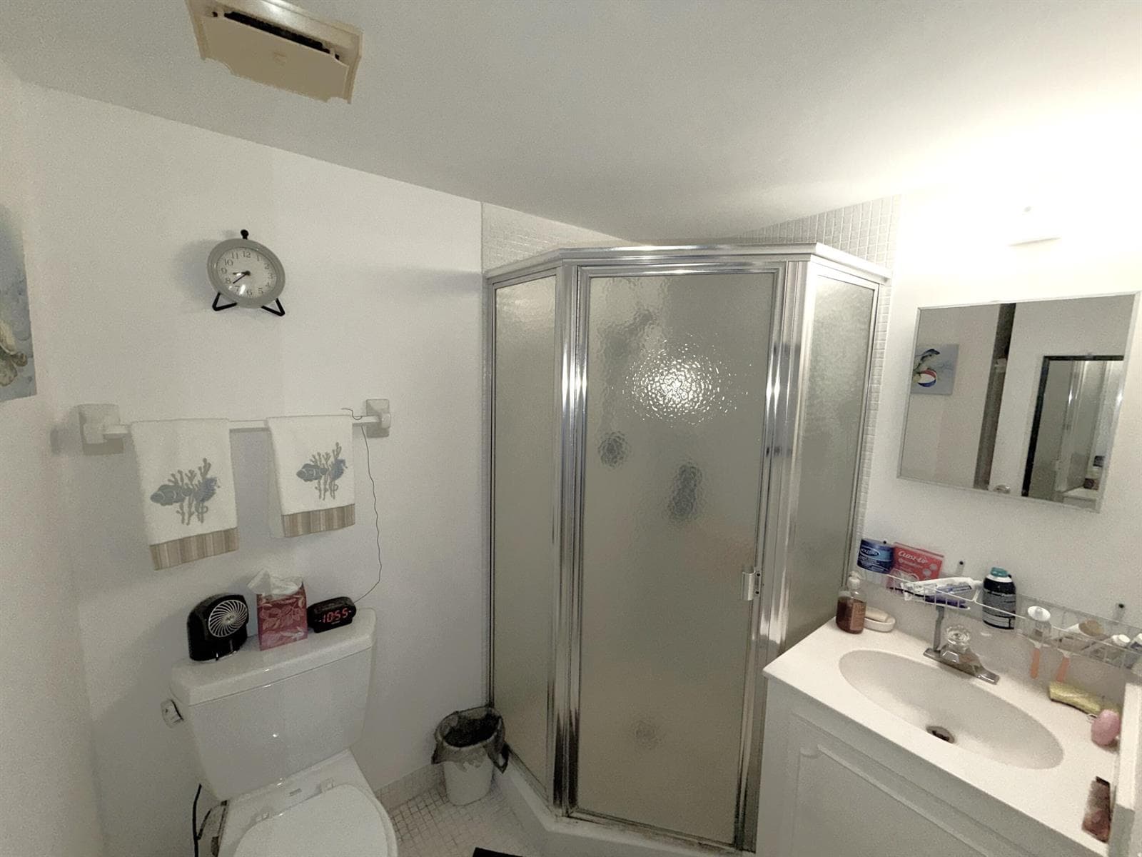 Guest bathroom