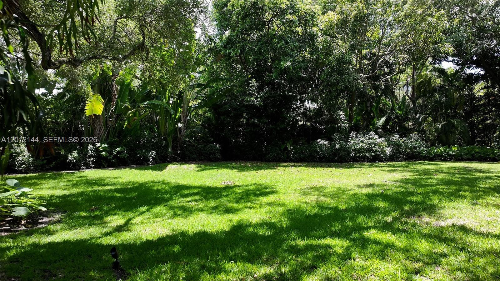 530 Melaleuca Ln photo 8