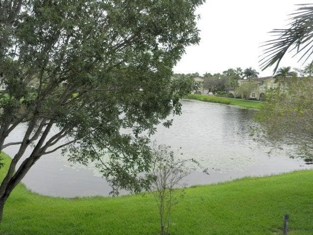 View from Balcony
