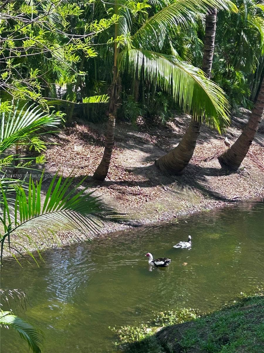 Creek view.
