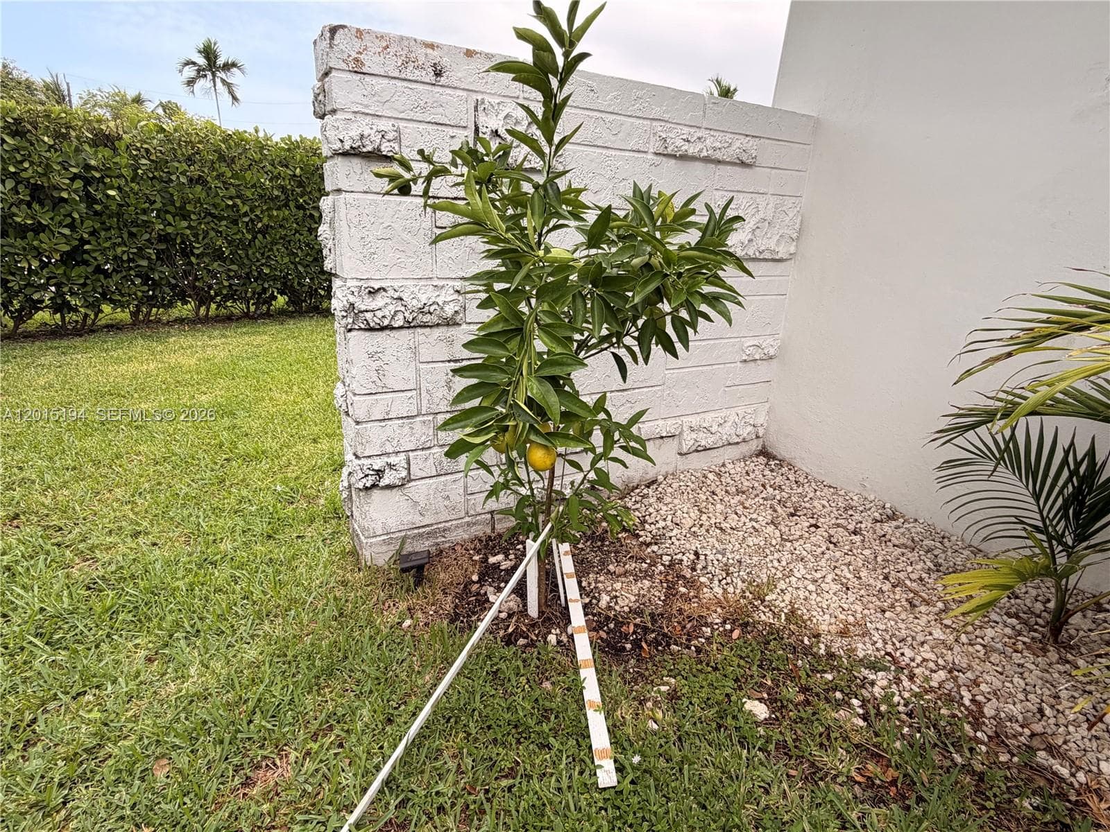 11445 N Bayshore Dr photo 37