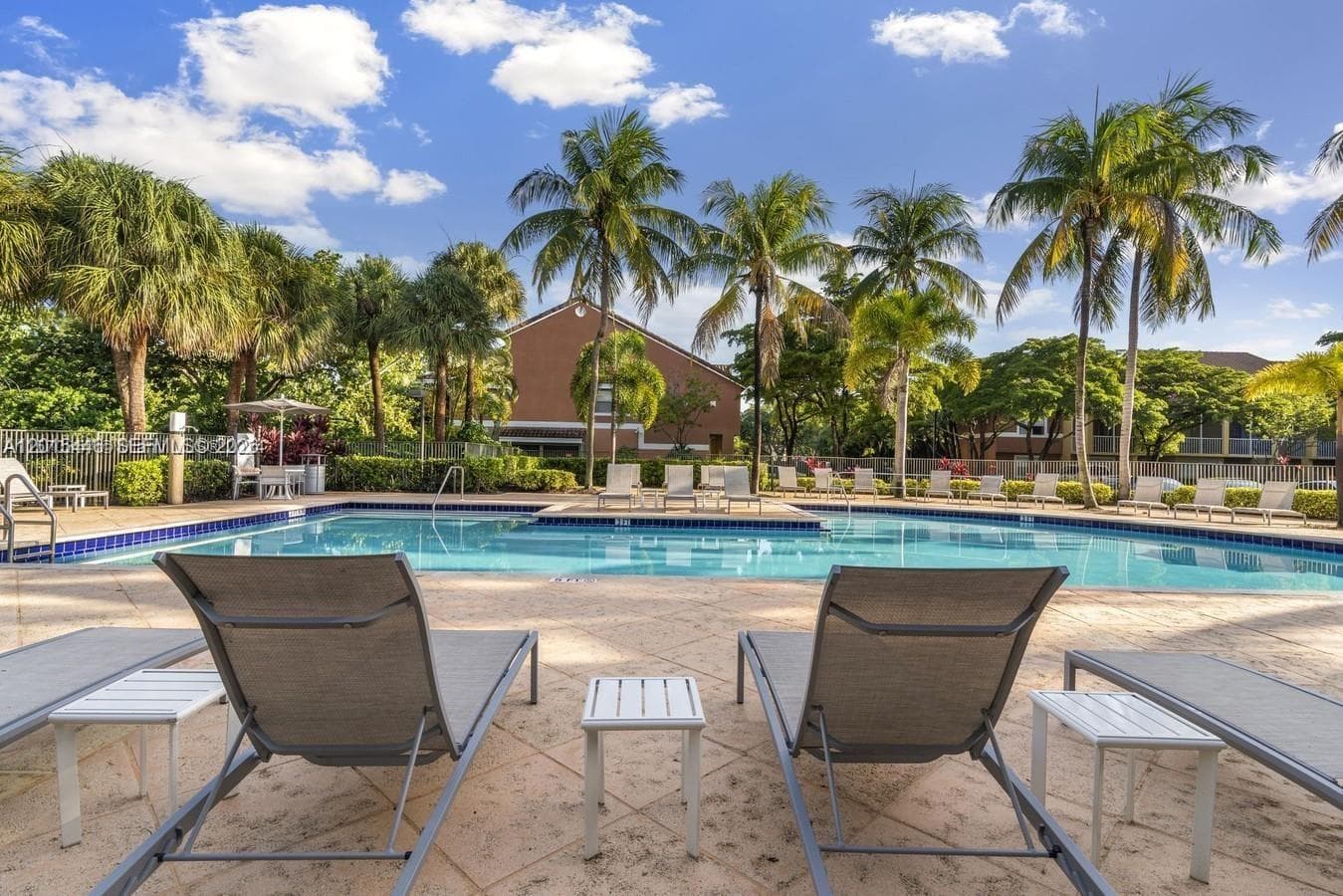 San Marco · #Corsican in Boca Raton - Photo 17