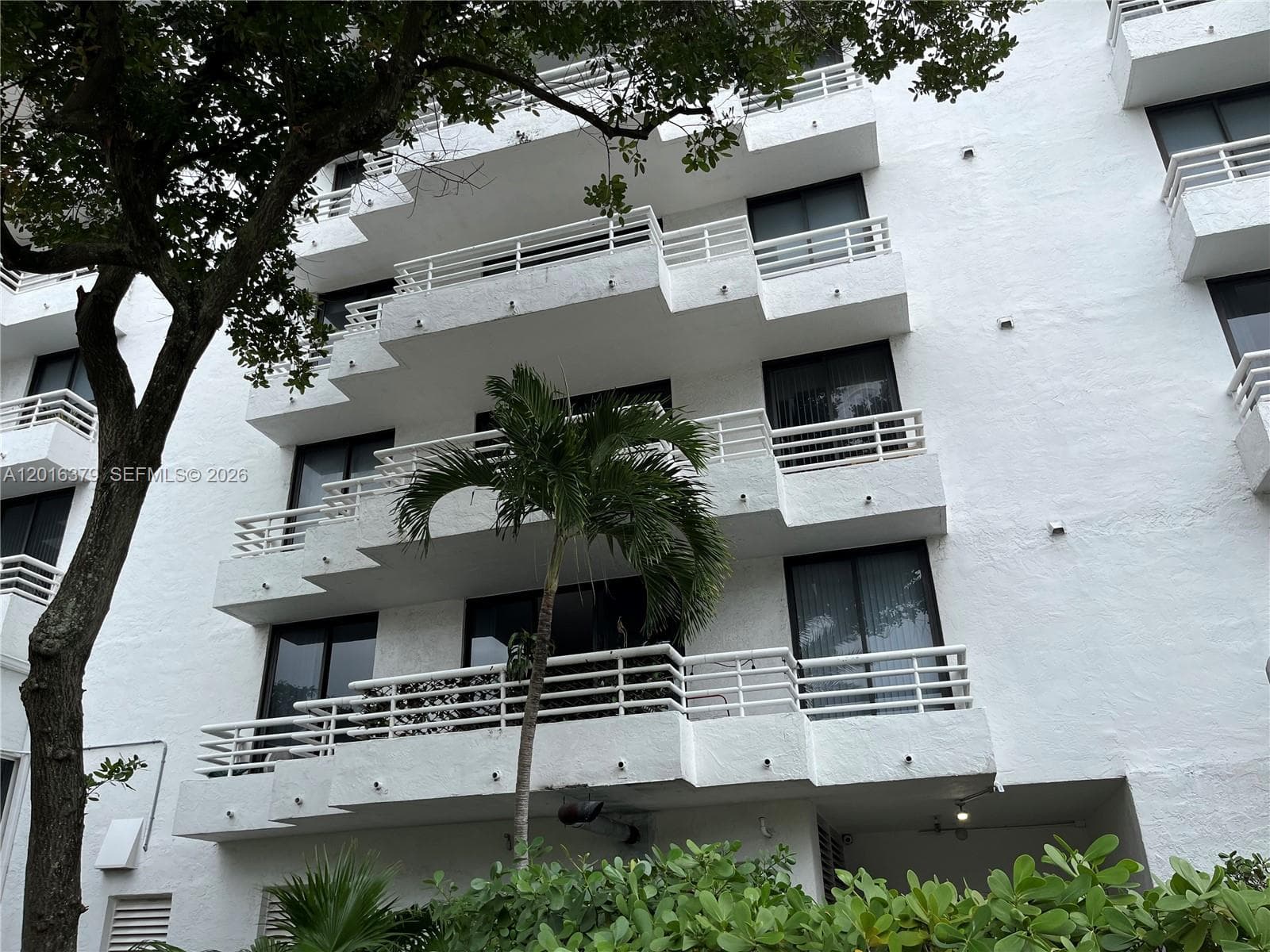 PARC CENTRAL AVENTURA EAS · #206 in Aventura - Photo 10