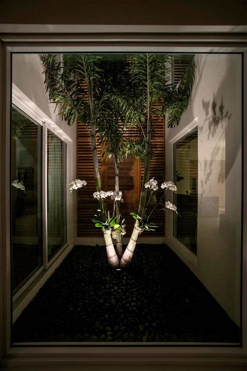 ATRIUM EVENING VIEW FROM DINING