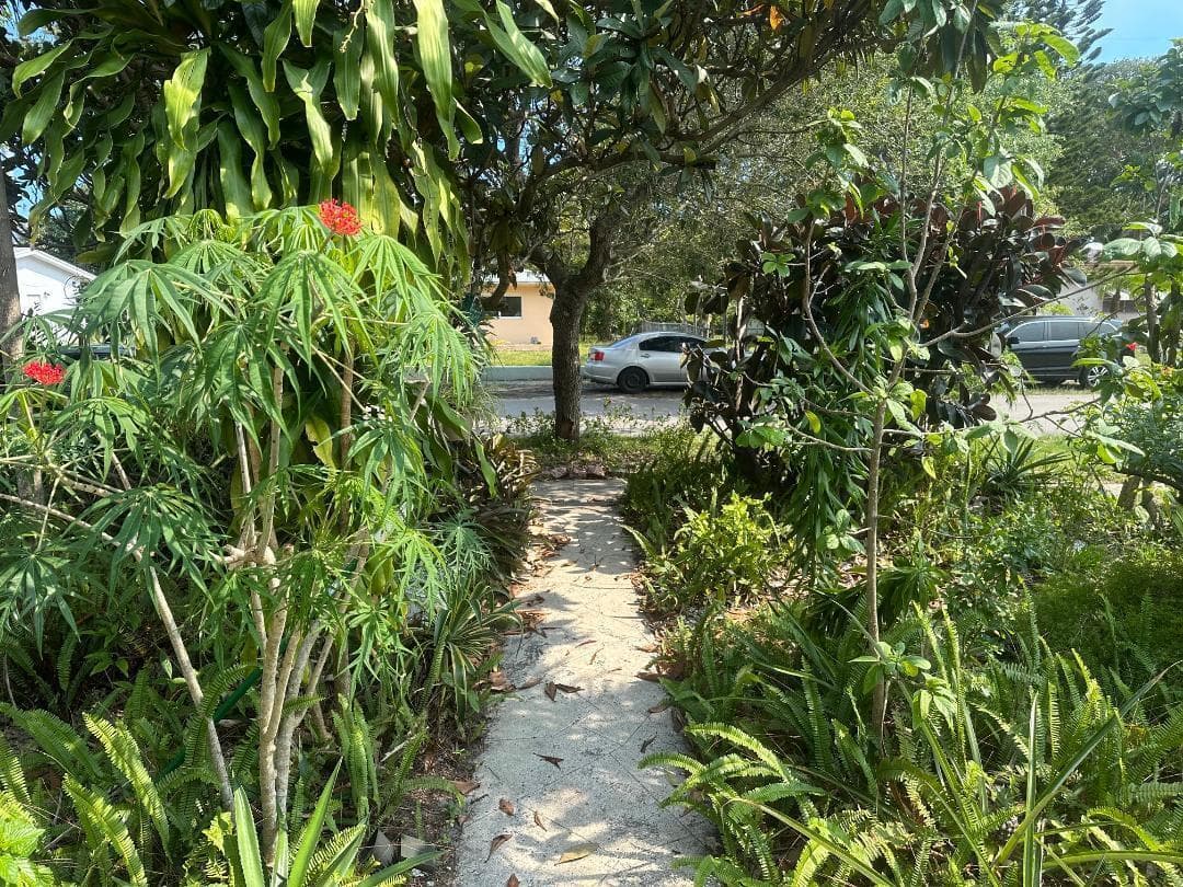 Front walkway