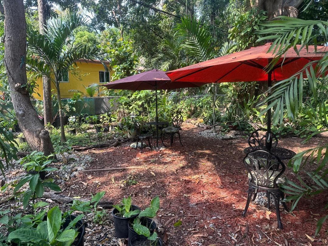 Back yard