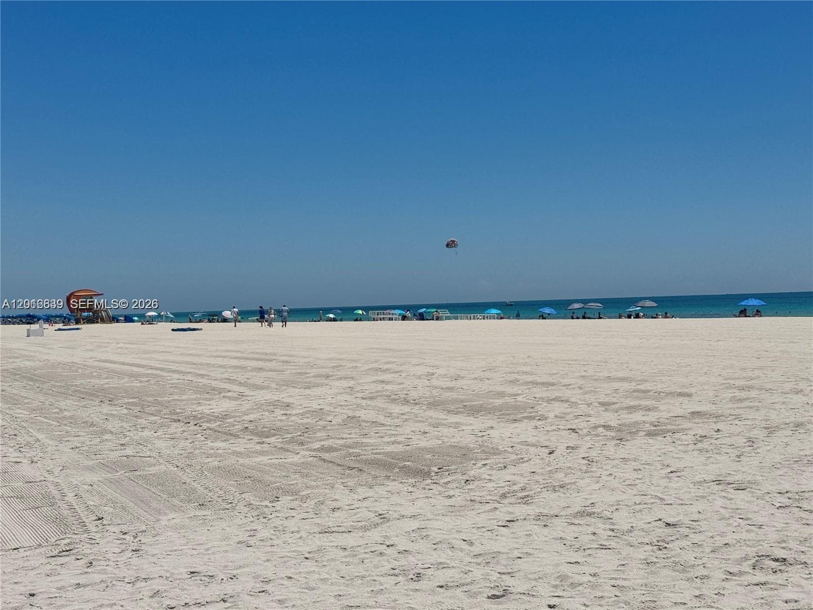 Delphinecondo · #3 in Miami Beach - Photo 13