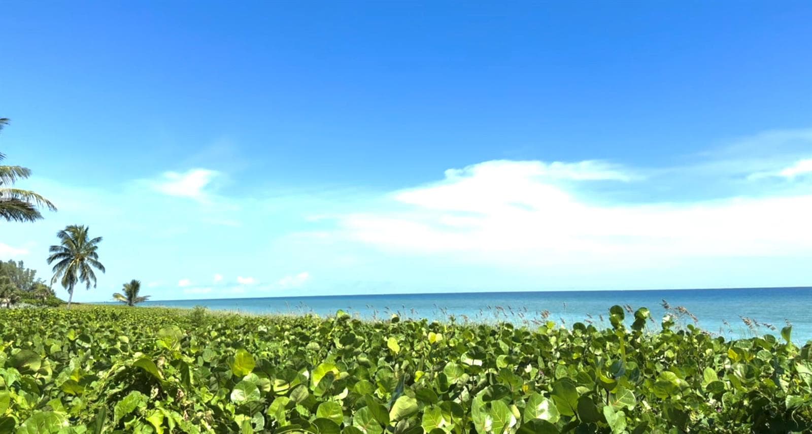 Juno Beach