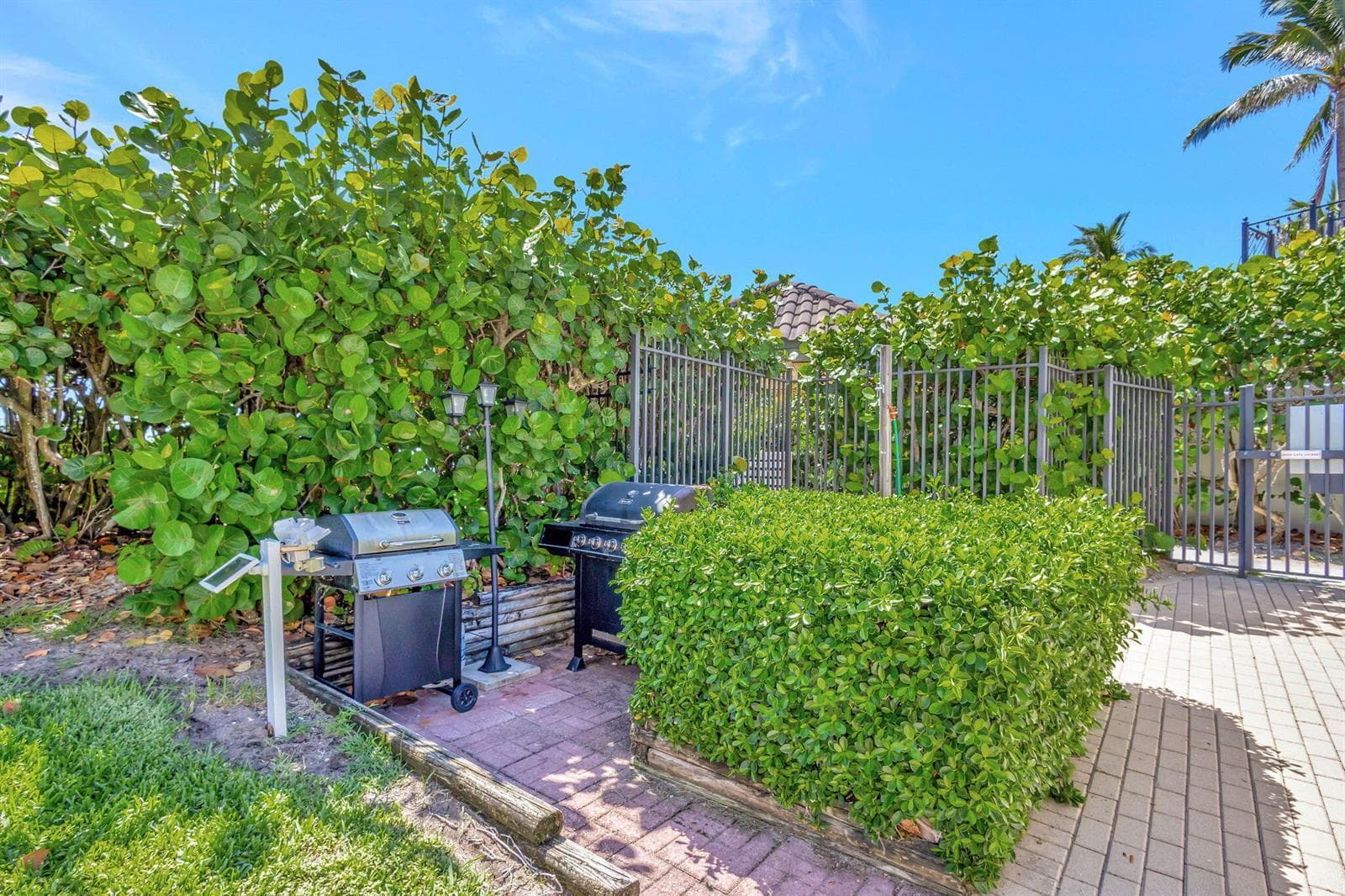 Grill Area