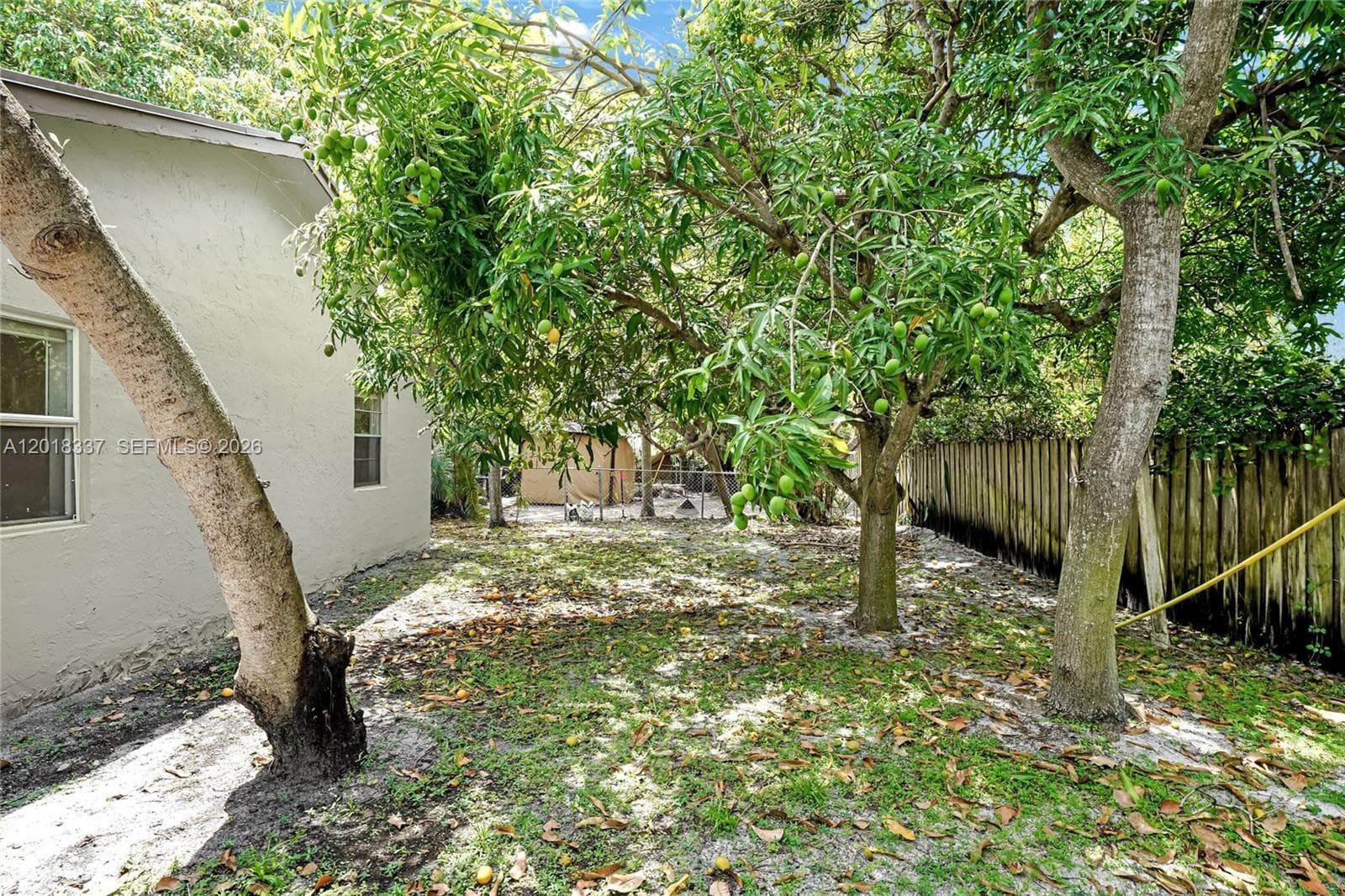 429 Avenida Hermosa photo 18