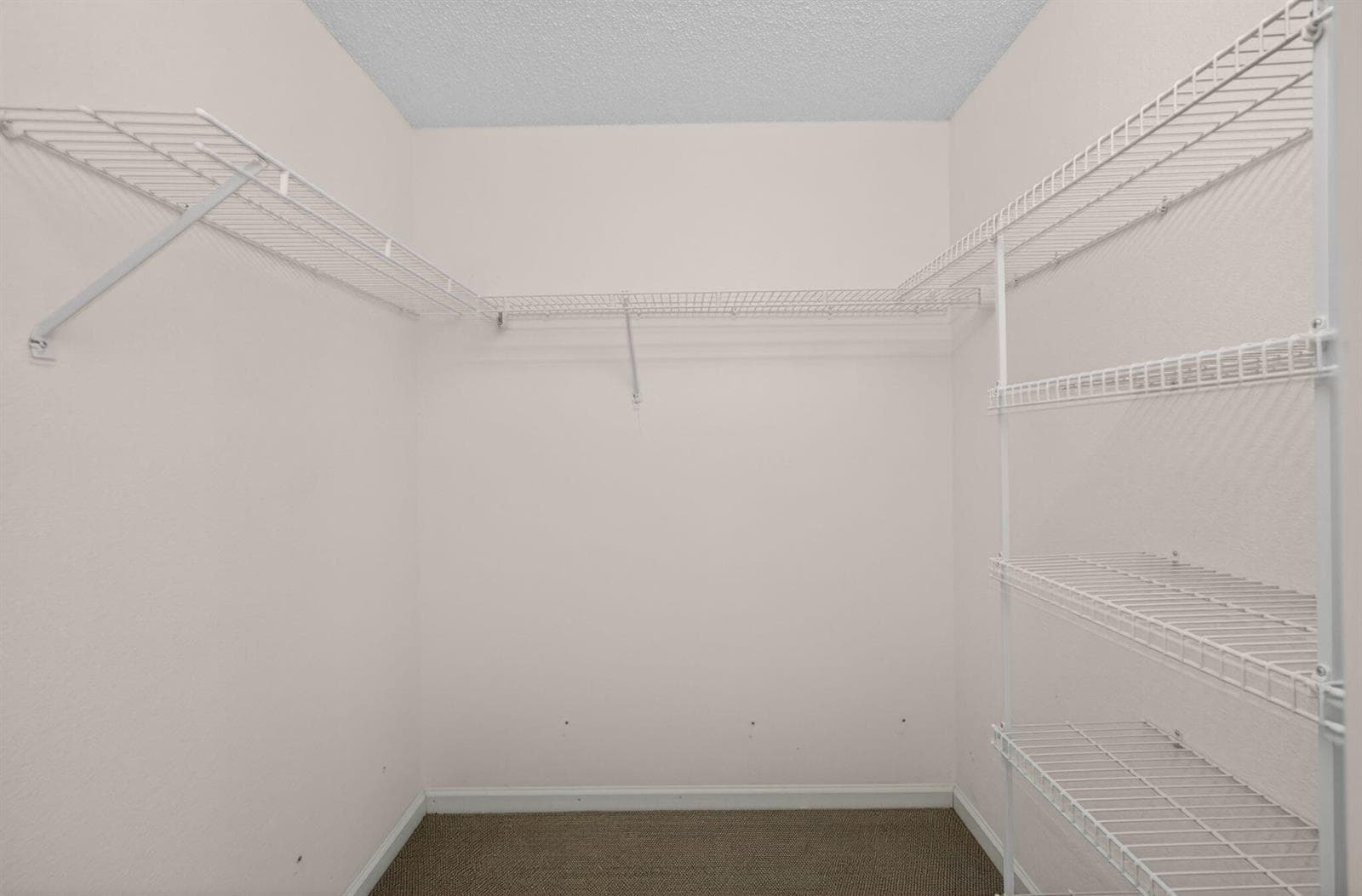 28-web-or-mls-5D1A8107