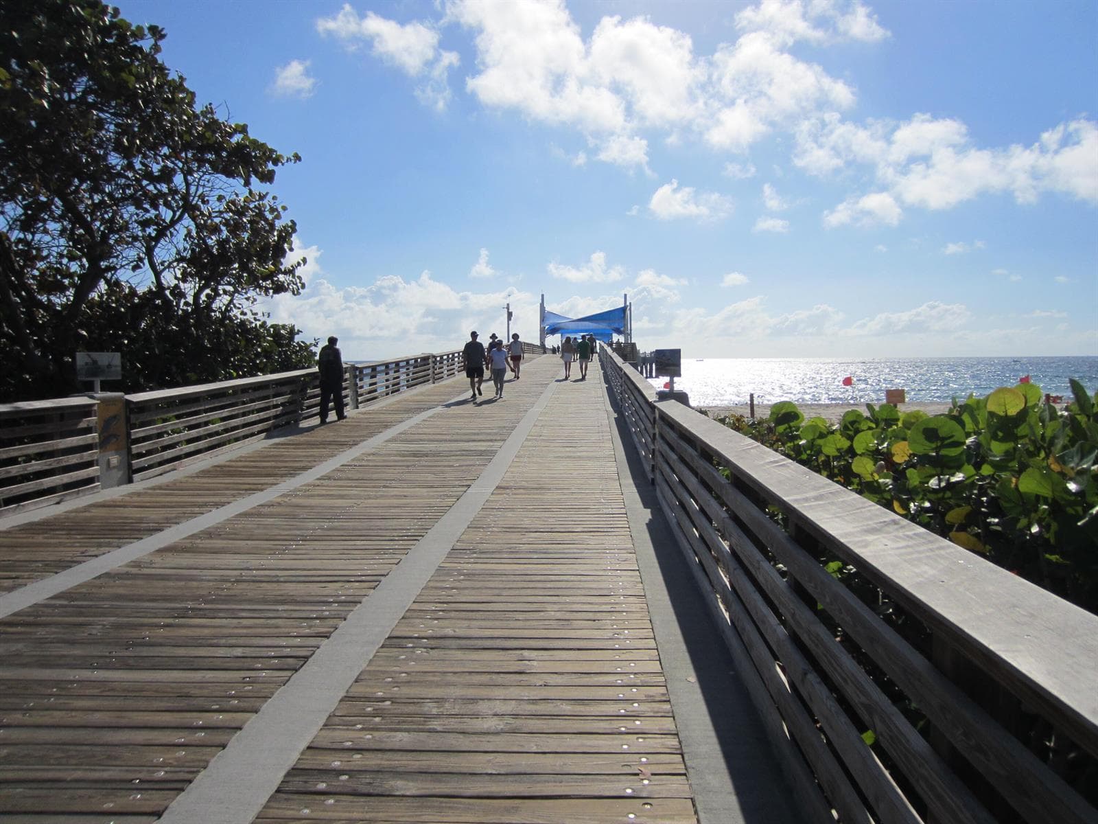 Pier