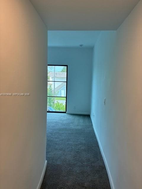 2511 Pierce St #6 photo 10