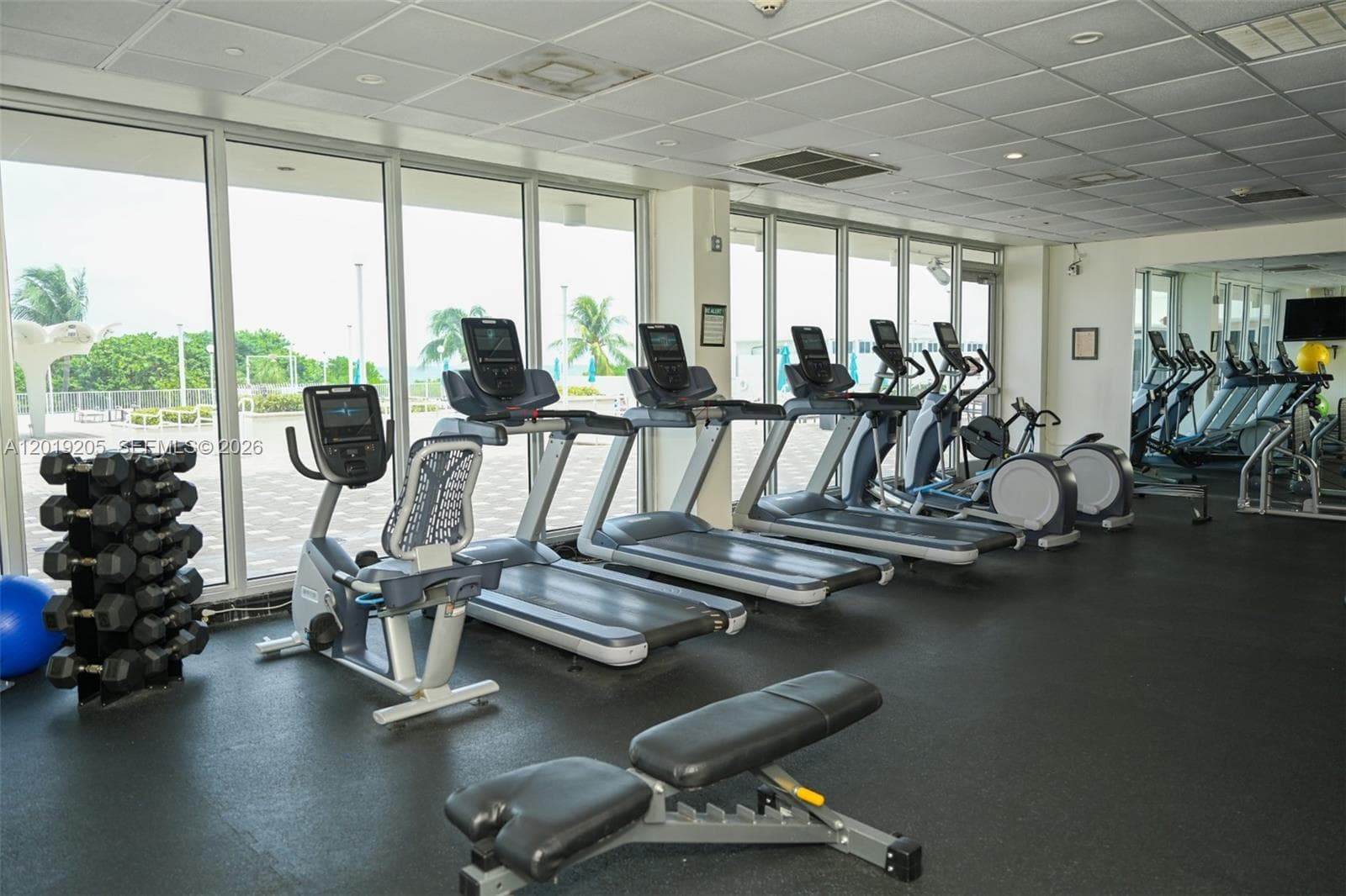 ARLEN BEACH CONDO · #511 in Miami Beach - Photo 23