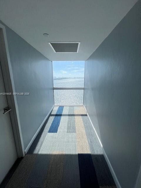Apt floor entrance hallway