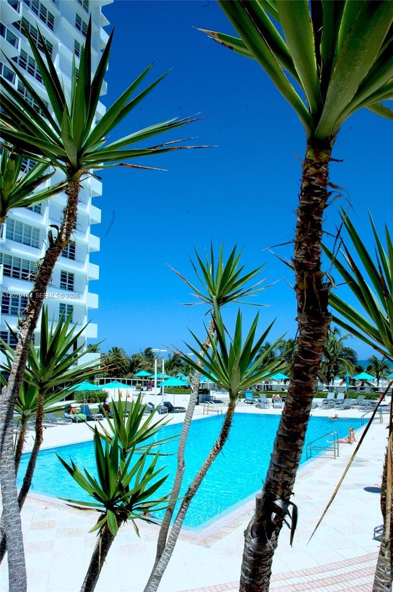The Decoplage · #303 in Miami Beach - Photo 2