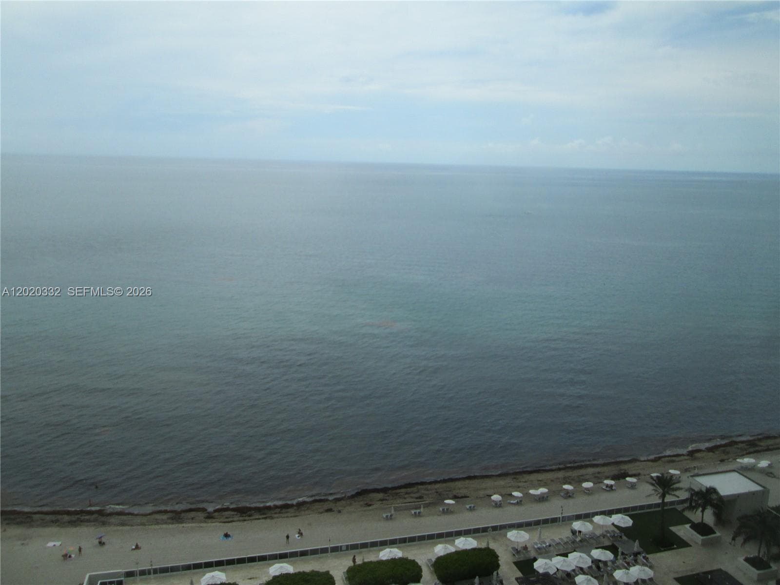 Beach Club of Hallandale · #2301 in Hallandale Beach - Photo 6