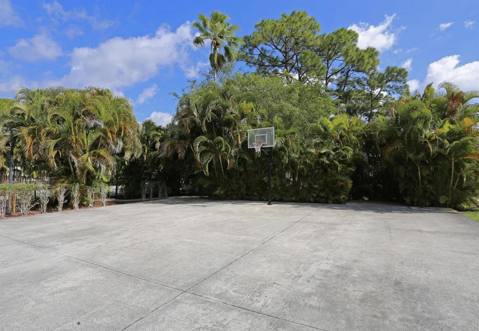 Basketball Court