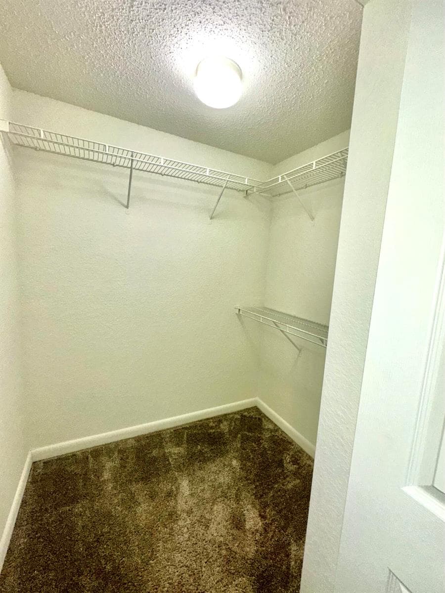 Primary Walk-In