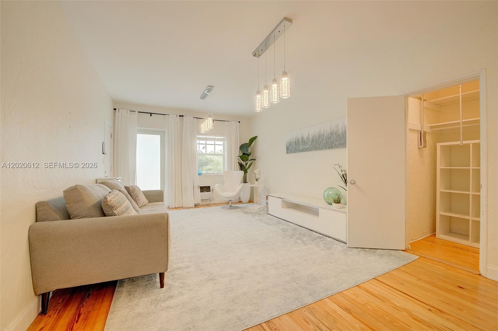 livingroom with srorage closet