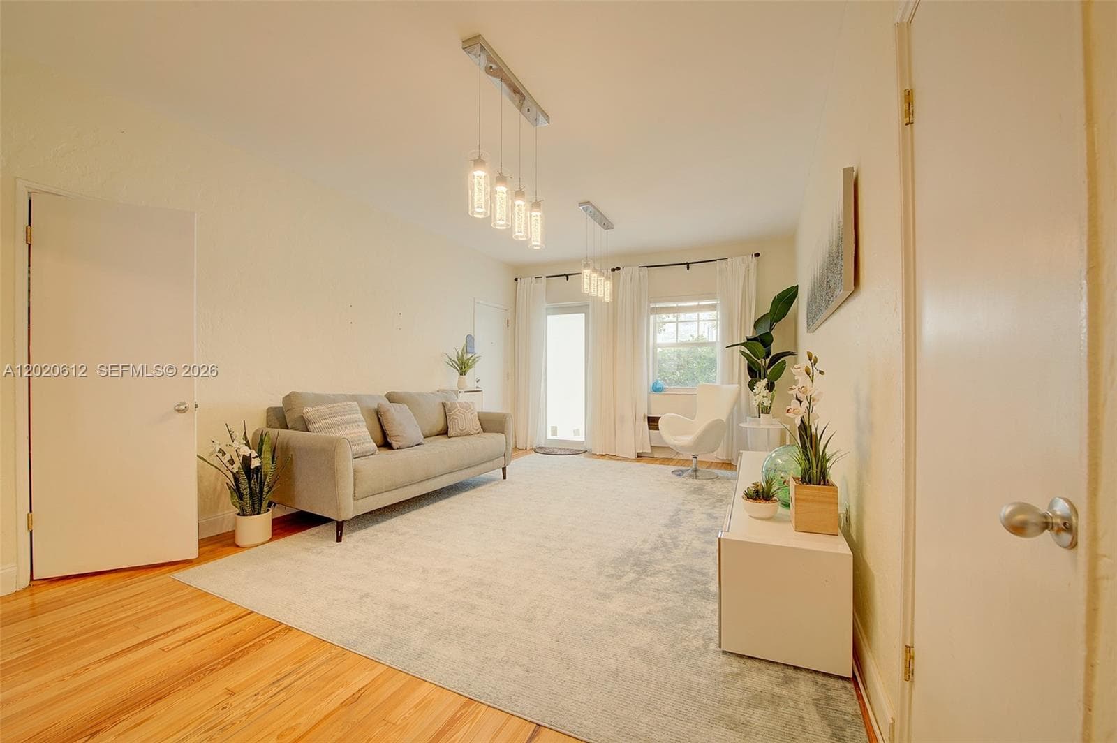 2 large storage closets in living room