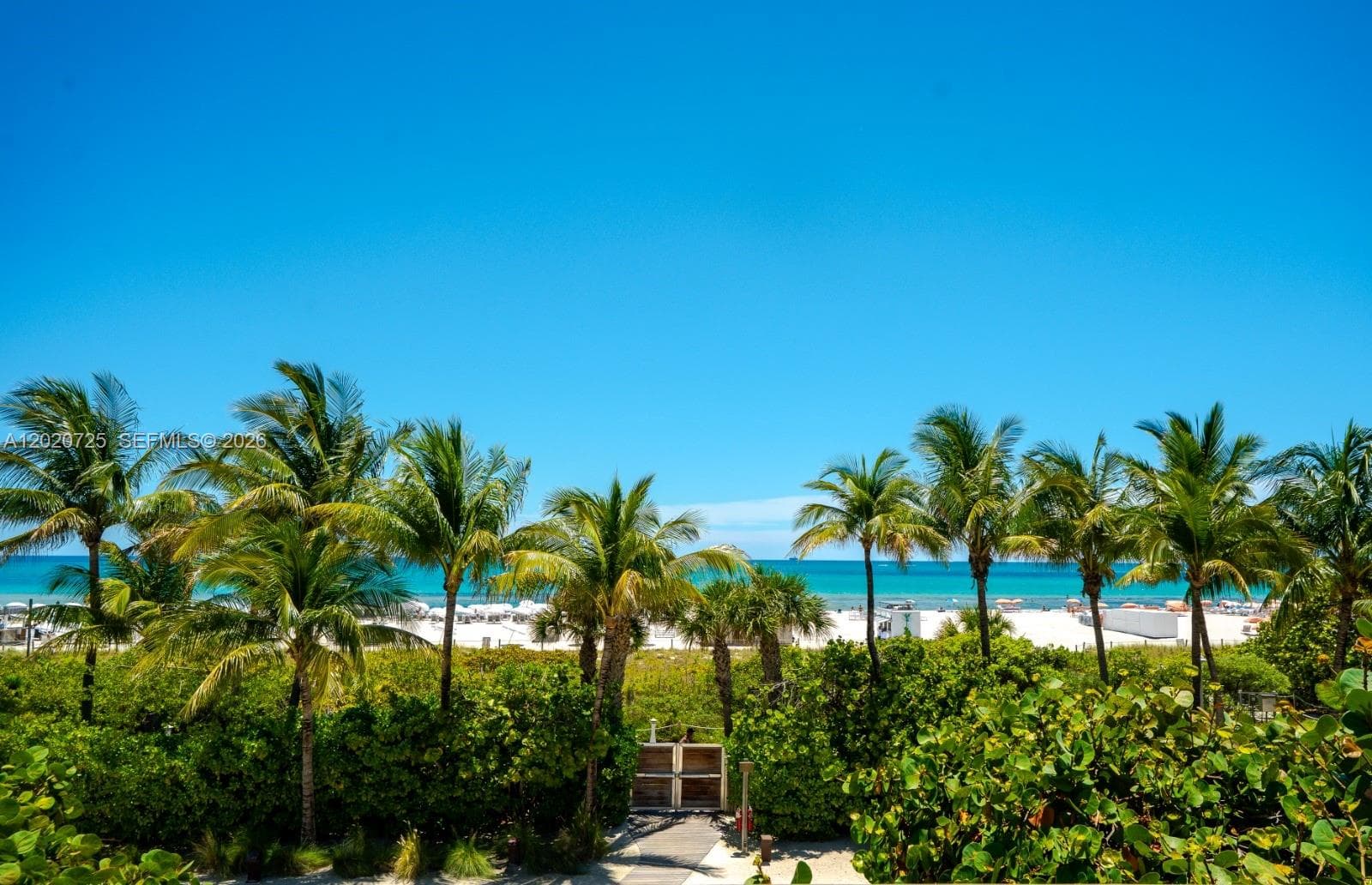Roney Palace · #804 in Miami Beach - Photo 24