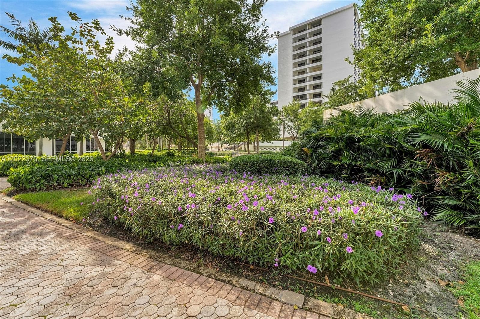 OLYMPUS CONDO PHASE · #1615 in Hallandale Beach - Photo 40