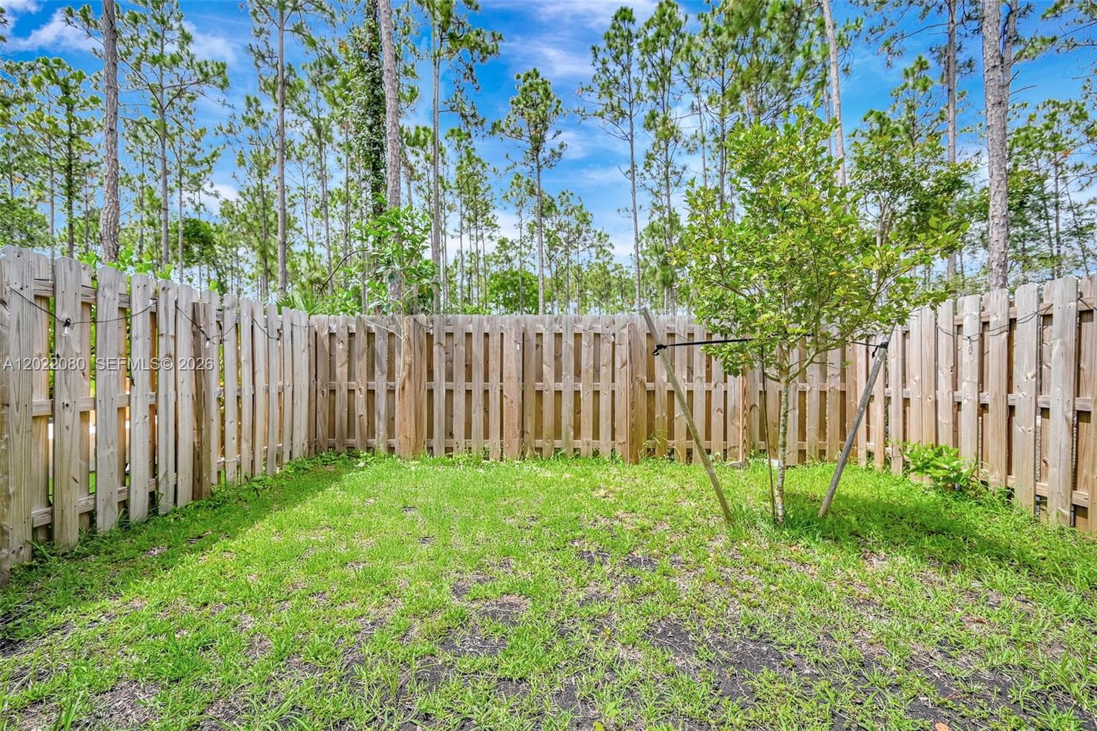 16233 SW 290th Ter photo 35