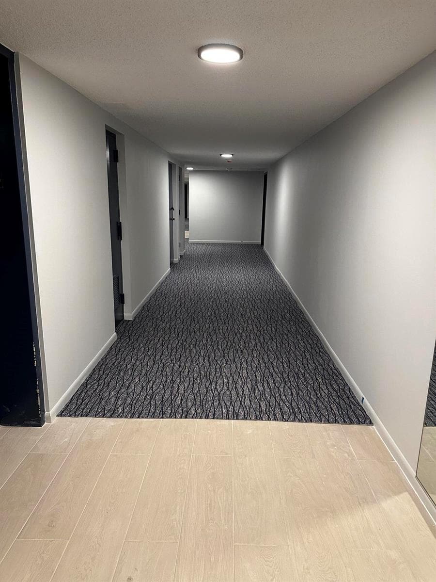 Updated Hallways - new carpet, paint