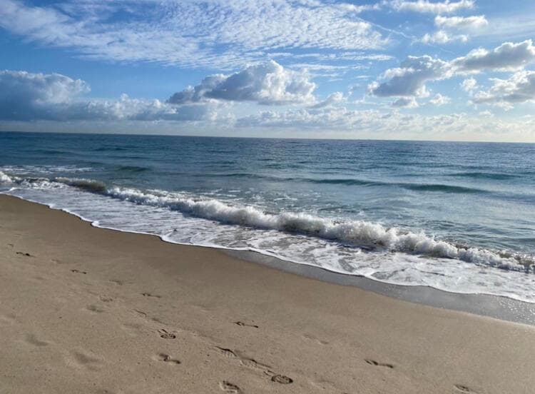 20260211151237240502000000-o