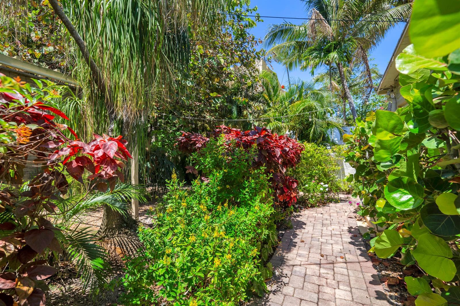 Yard