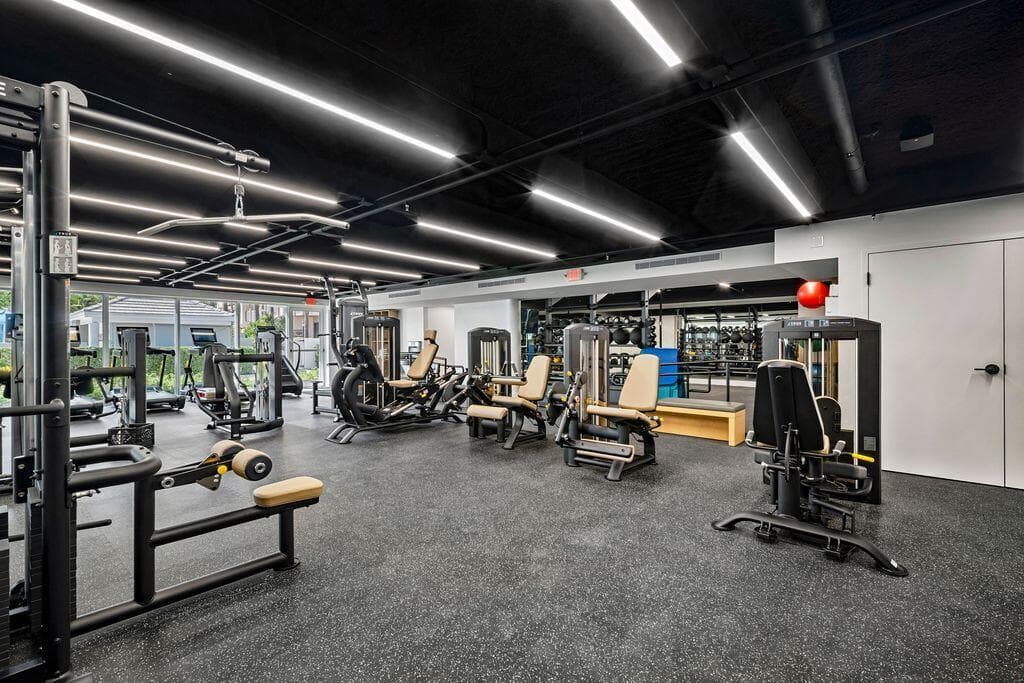 Gym new