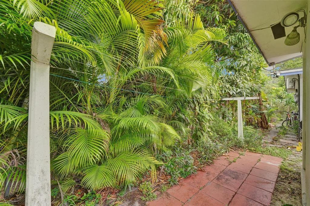 Garden