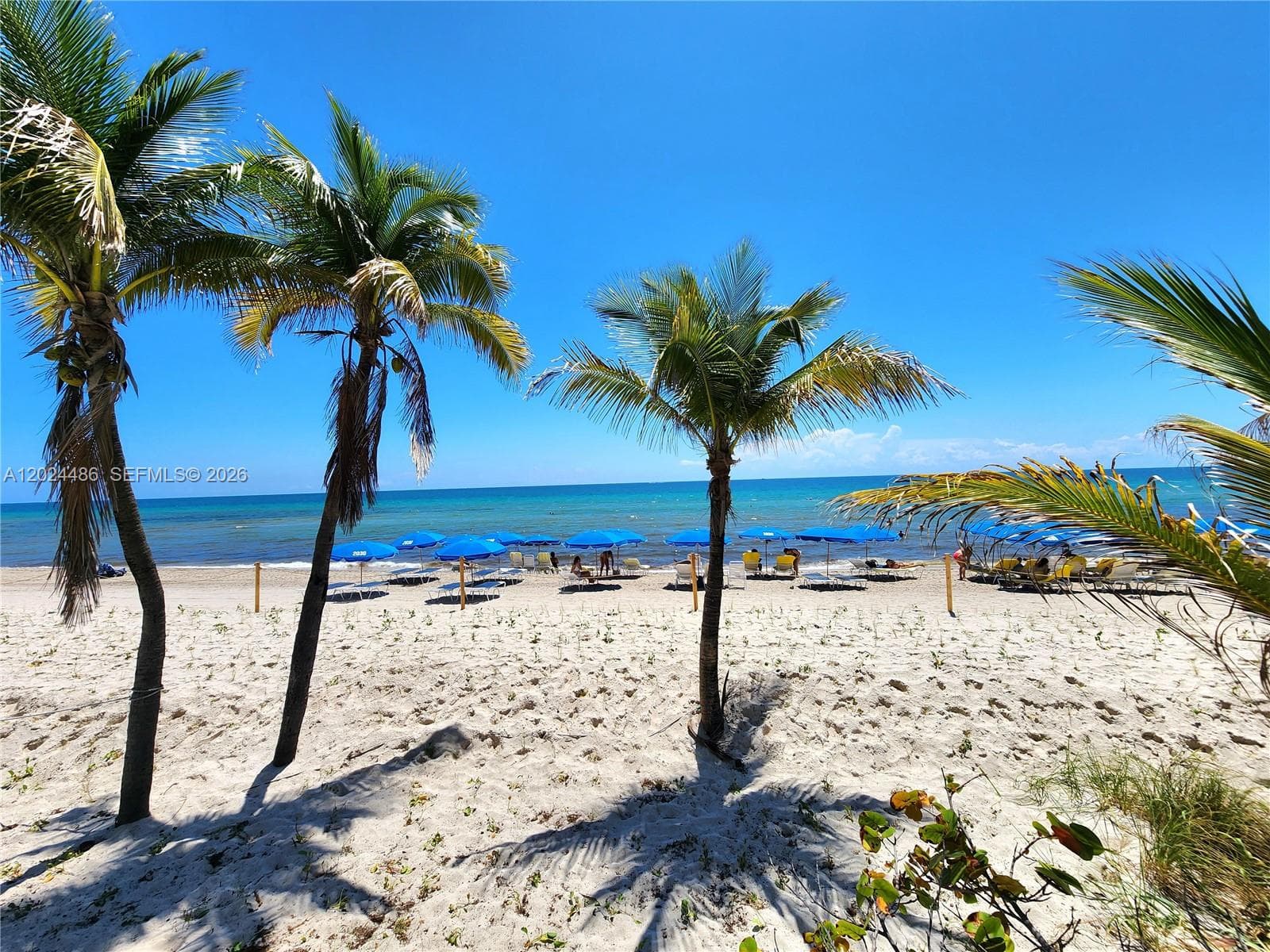 PARKER PLAZA CONDO ESTATE · #923 in Hallandale Beach - Photo 26