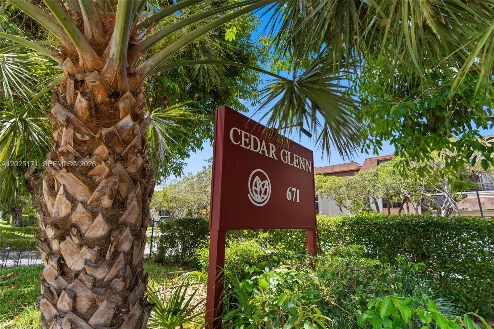 Cedar Glenn · #121E in Miami - Photo 32