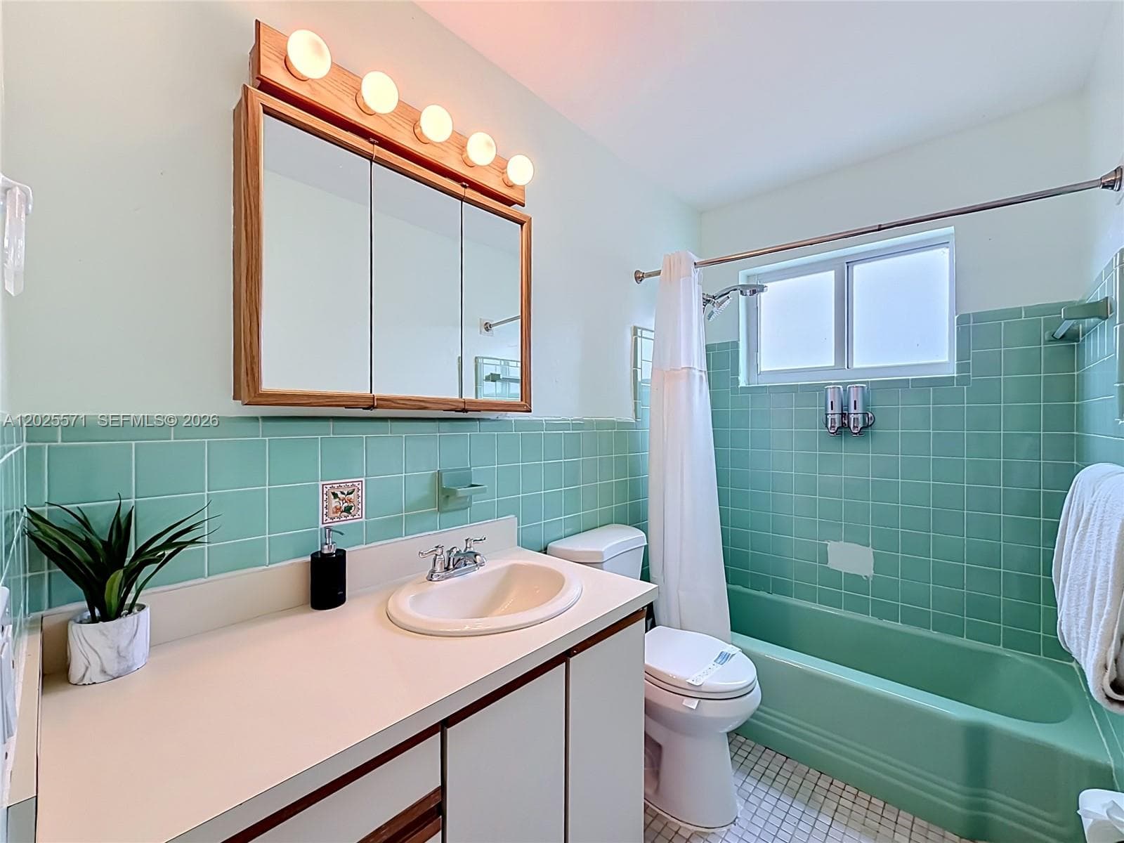 2501 NE 209th Ter photo 24
