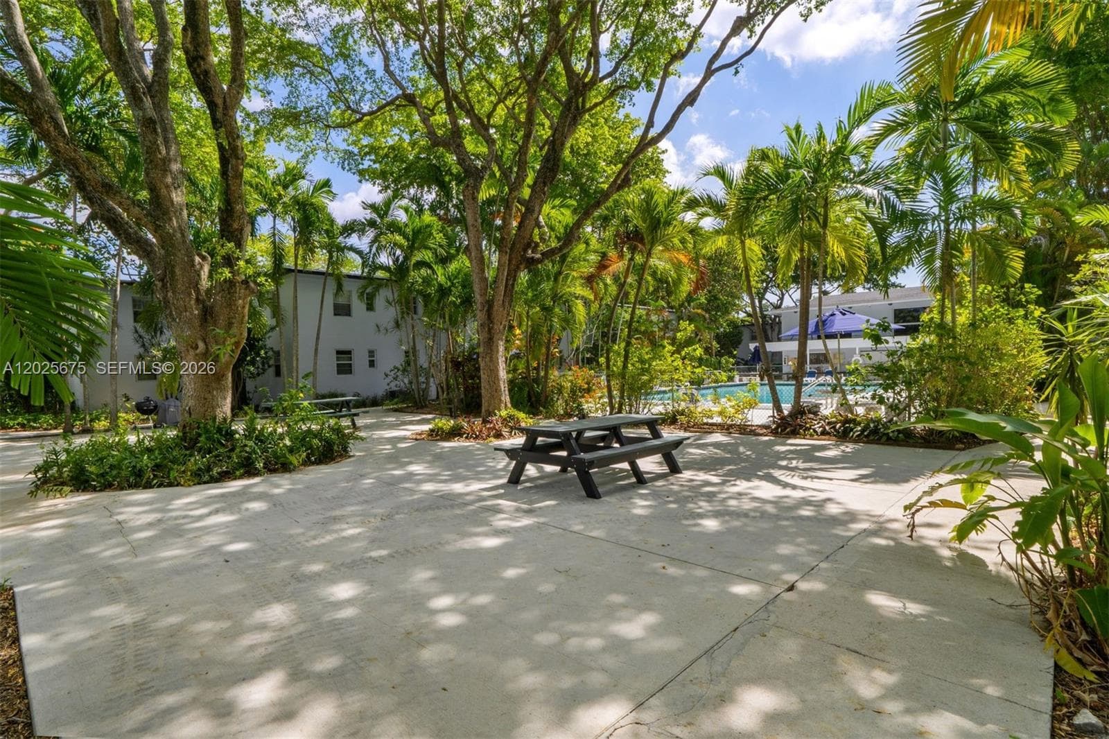 Courtyard shaded by lush tree canopies