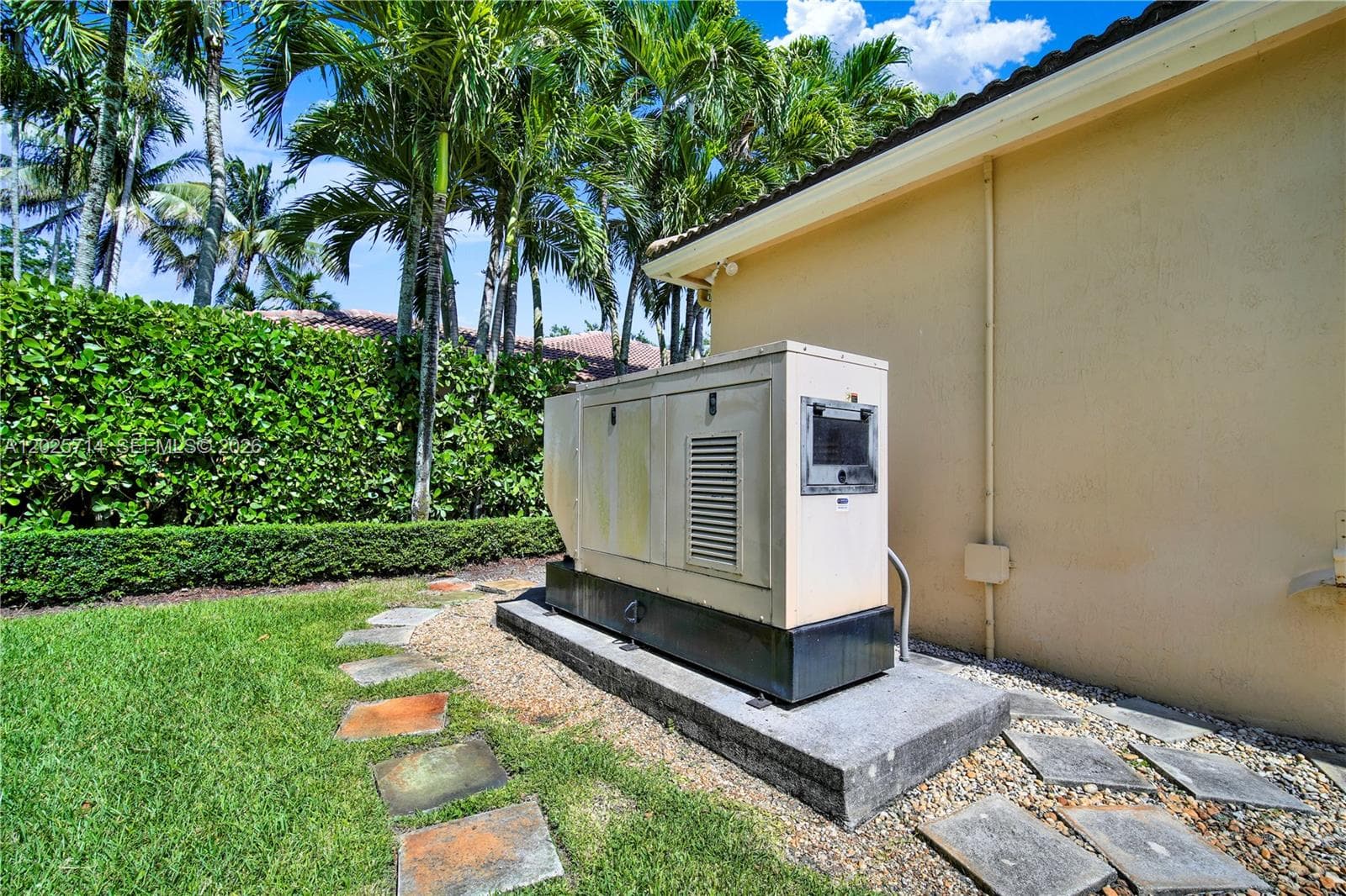 Generator for the entire house