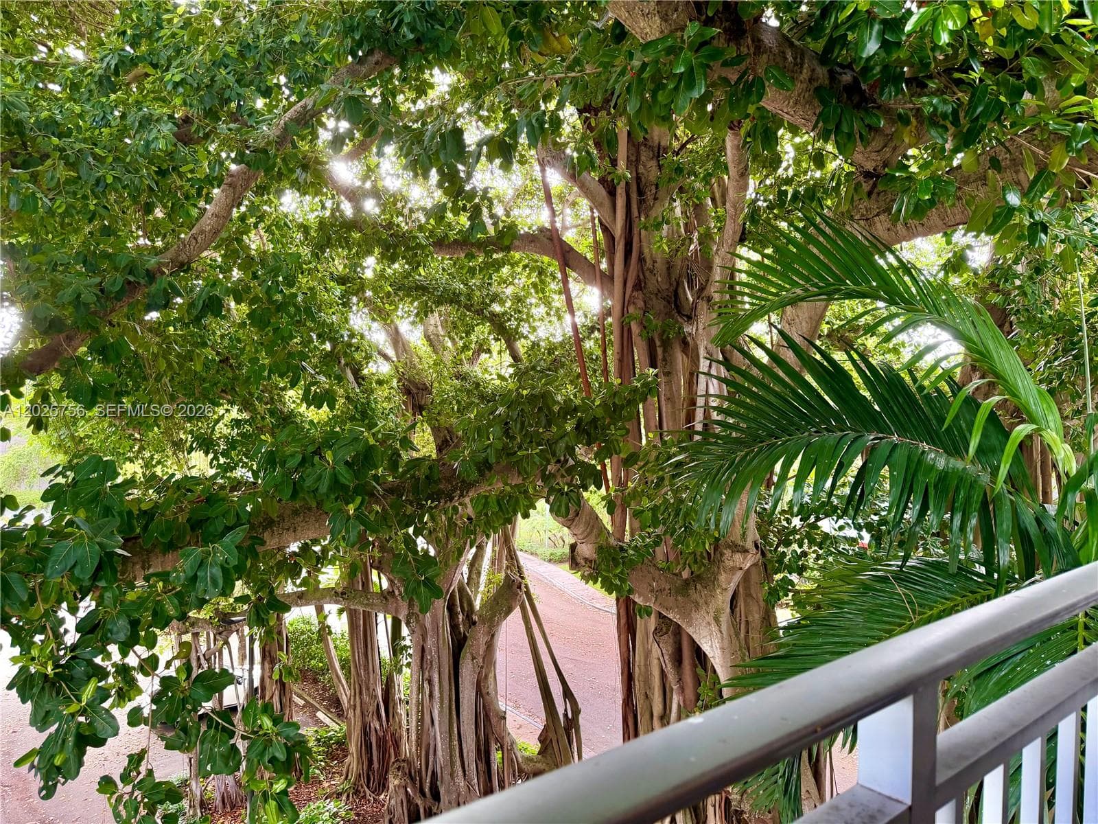 Banyan Bay Apartments · #C512 in Miami - Photo 30