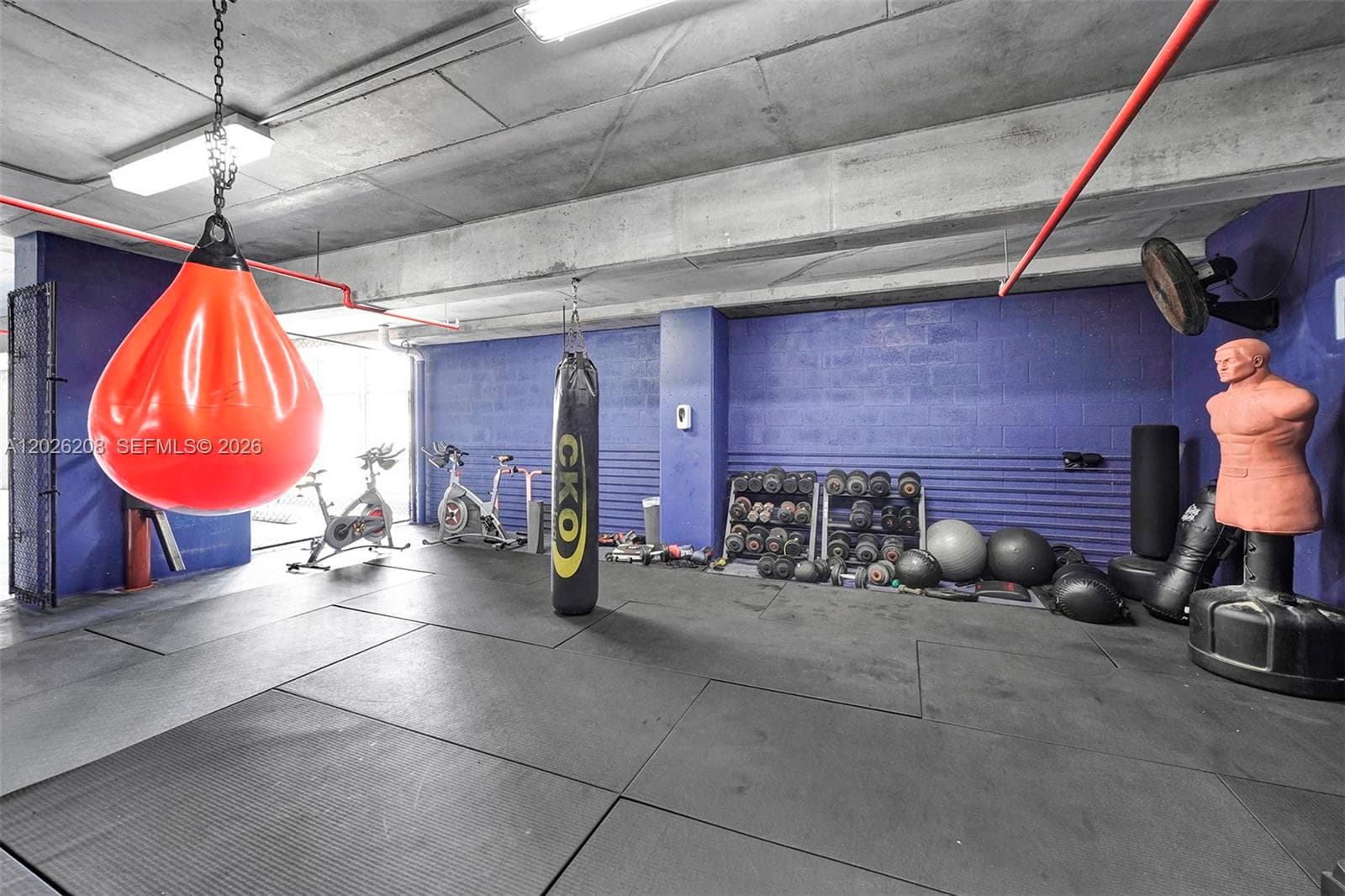 Dojo