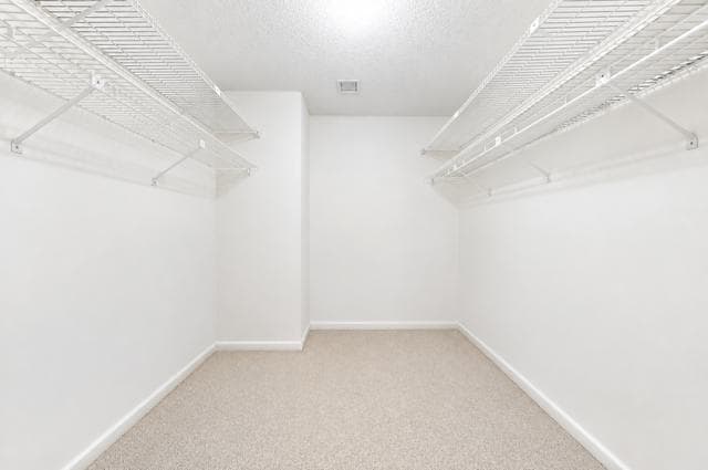 primary walk-incloset