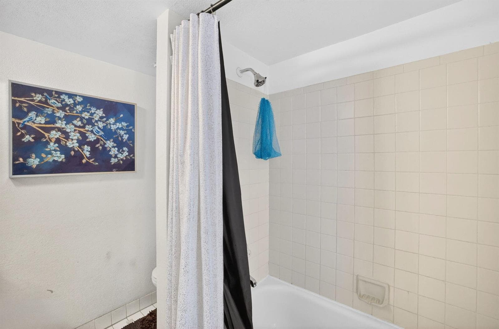 26-web-or-mls-699A2897