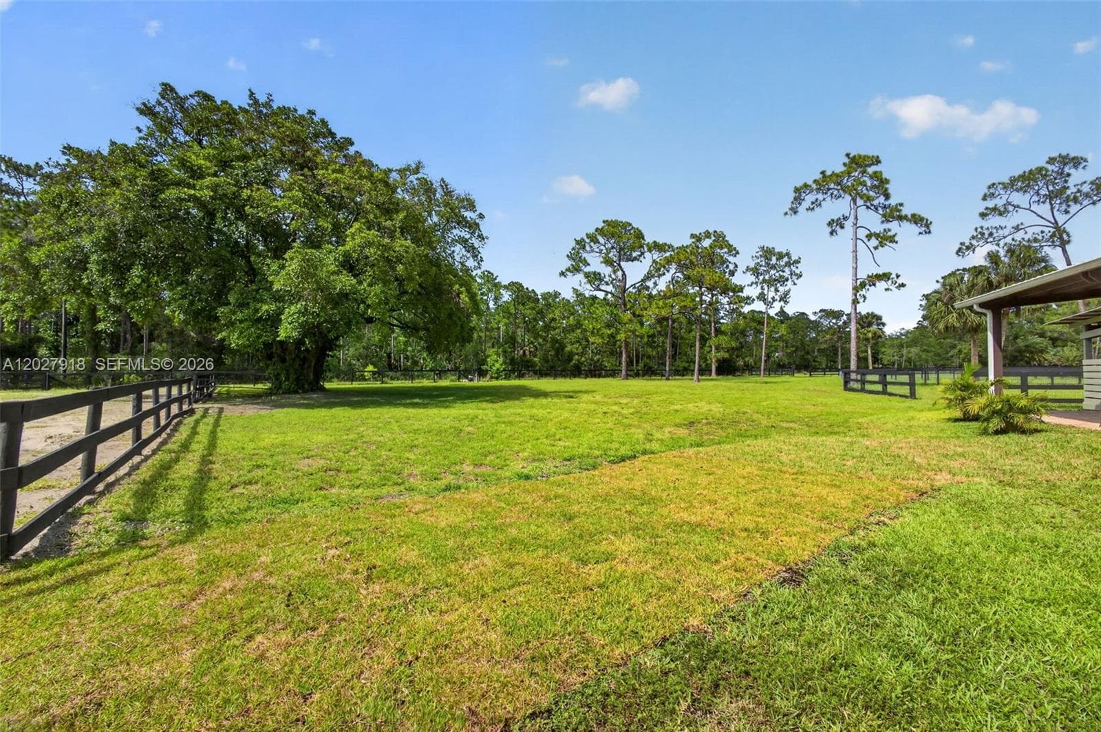 12725 Mallard Creek Dr photo 69