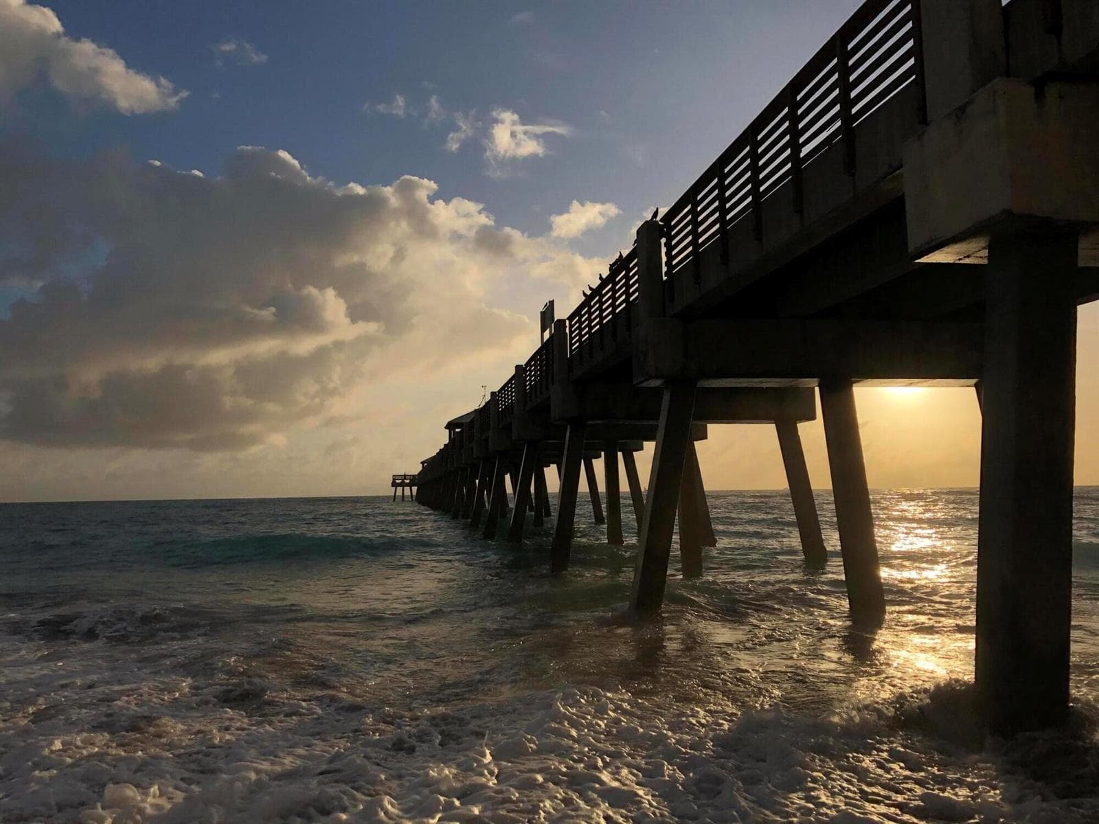 Juno Pier 2