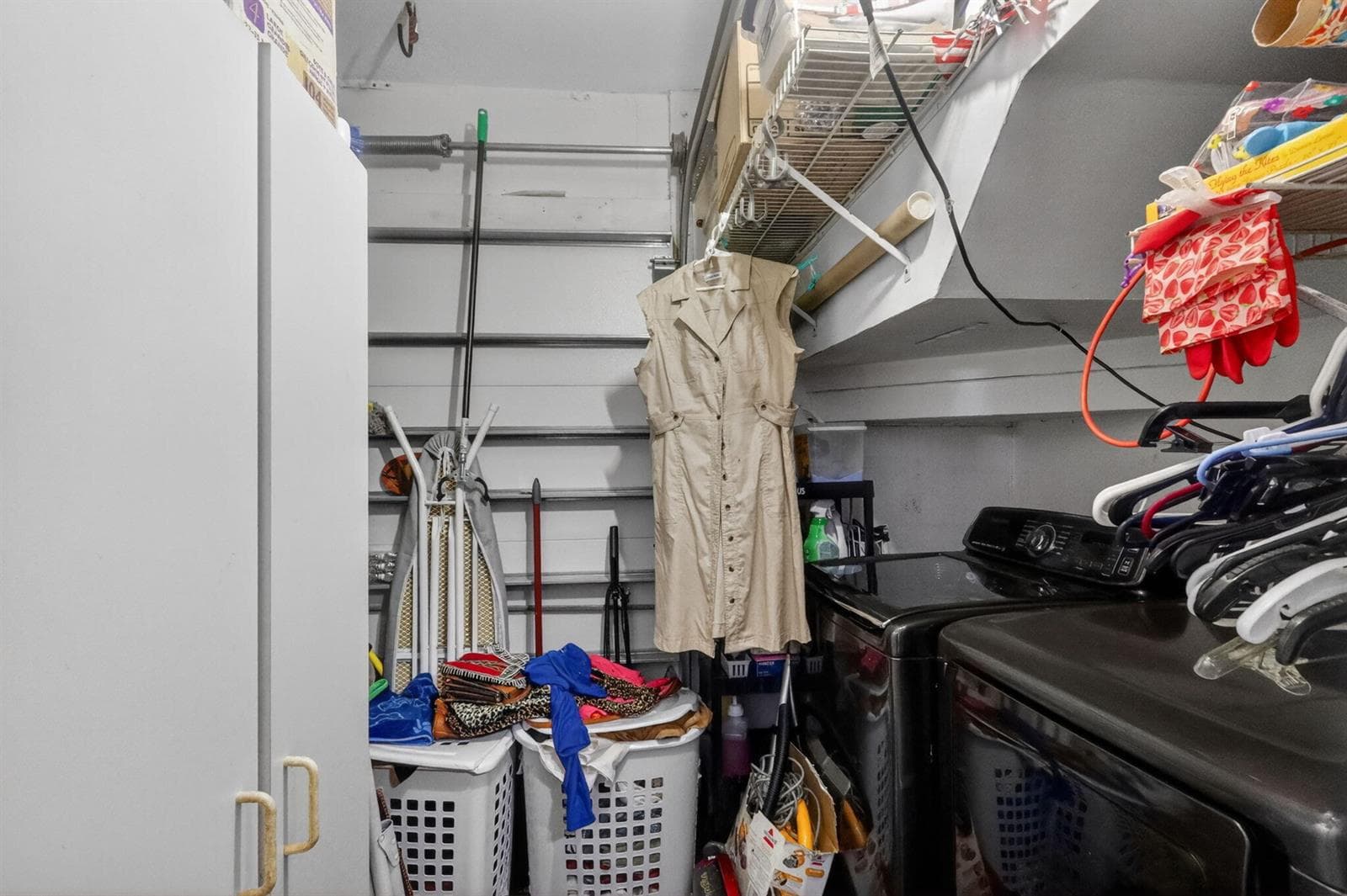 22-web-or-mls-8H3A9041