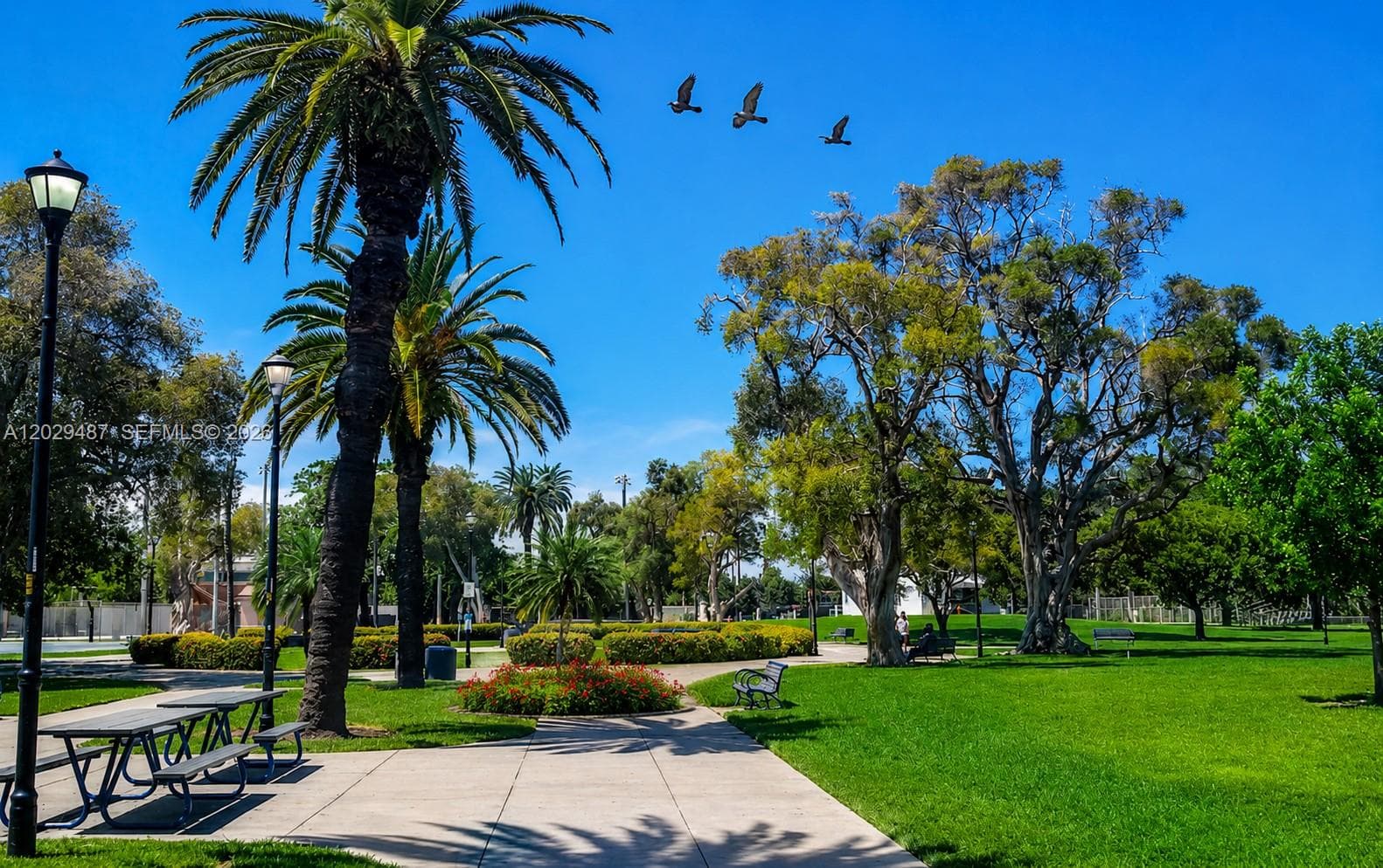 Park