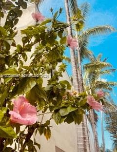 VILLA GATSBY CONDO · #2 in Miami Beach - Photo 21