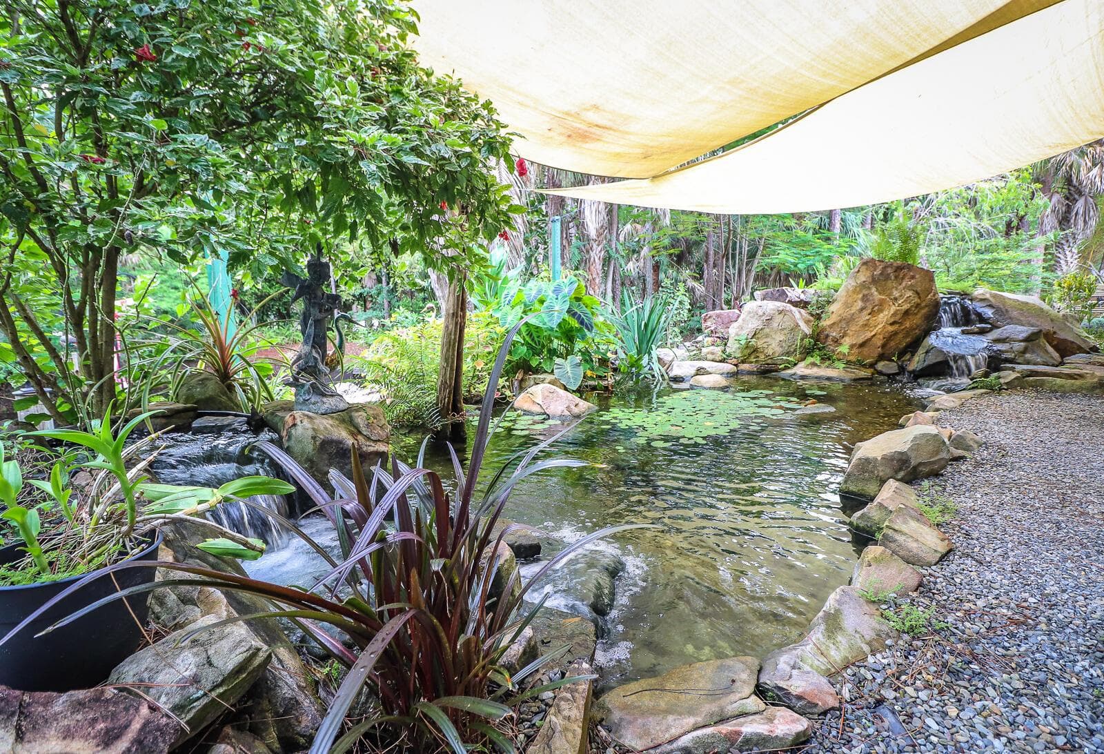35-Koi Pond