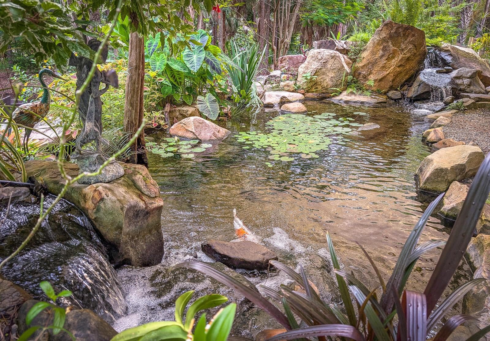 36-Koi Pond