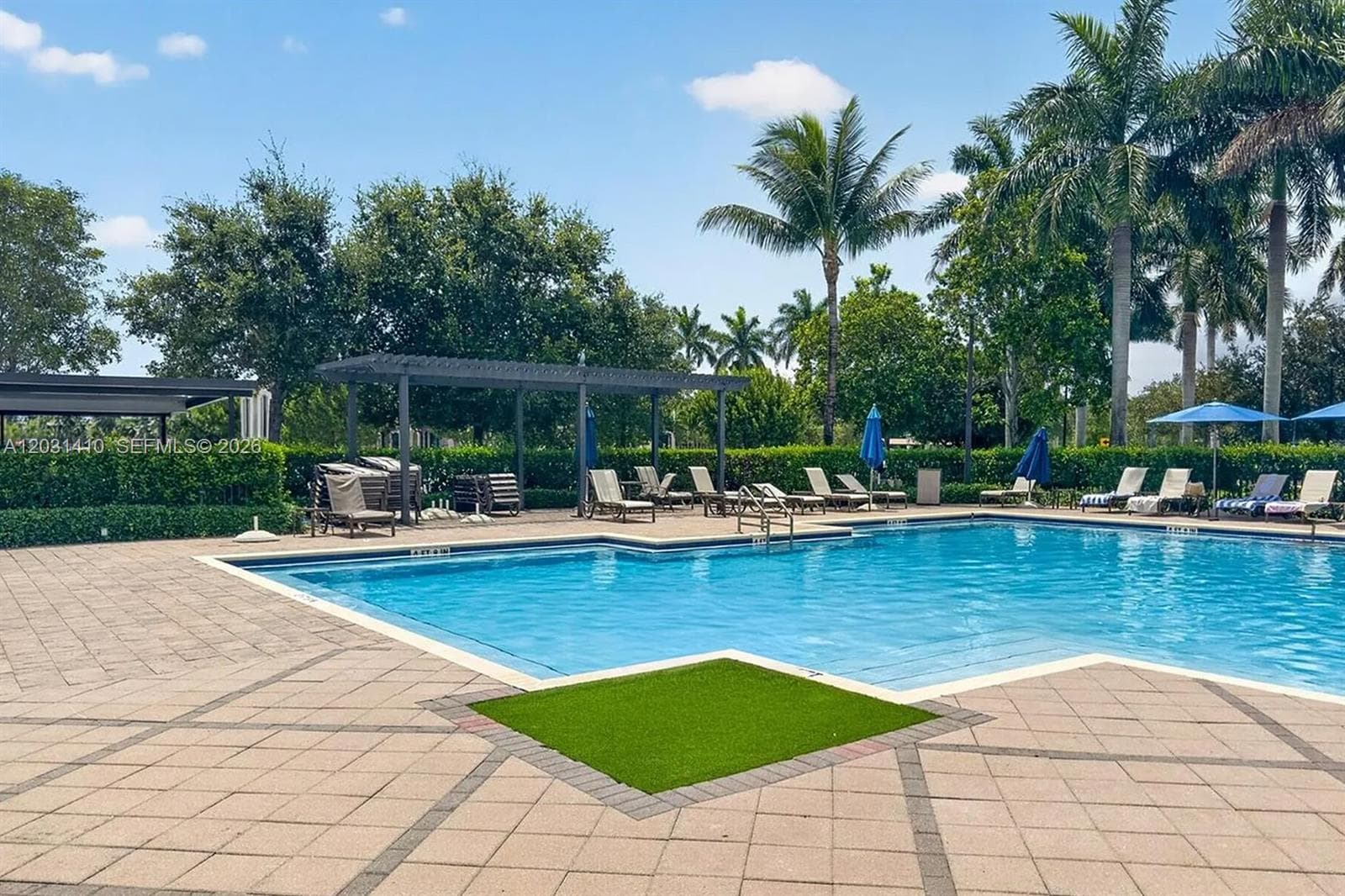 In-ground swimming pool with stone-paver decking, metal pergola, mature palm trees, and manicured hedge perimeter